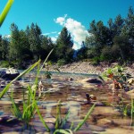 Piave_04_photo by Ennio Mazzon
