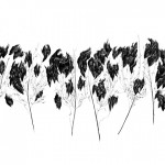 3_cloth