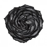 3_rose