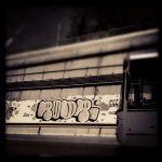 IMG_4907