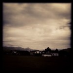IMG_4961