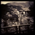 IMG_4968