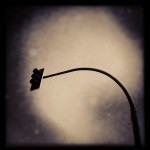 IMG_5539