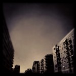 IMG_5608