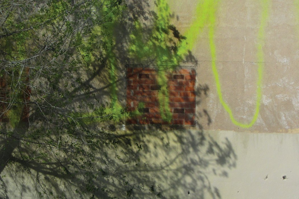 Kate Carr interview, tree partially hiding a brick wall with a bricked-up window and bright yellow graffiti