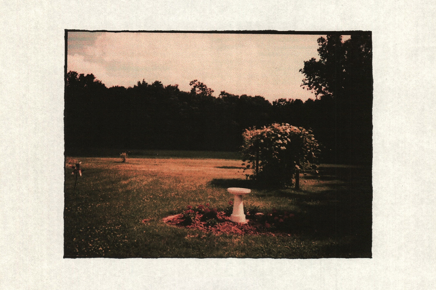 Danny Clay - Ganymede, old photo of a garden in spring or summer