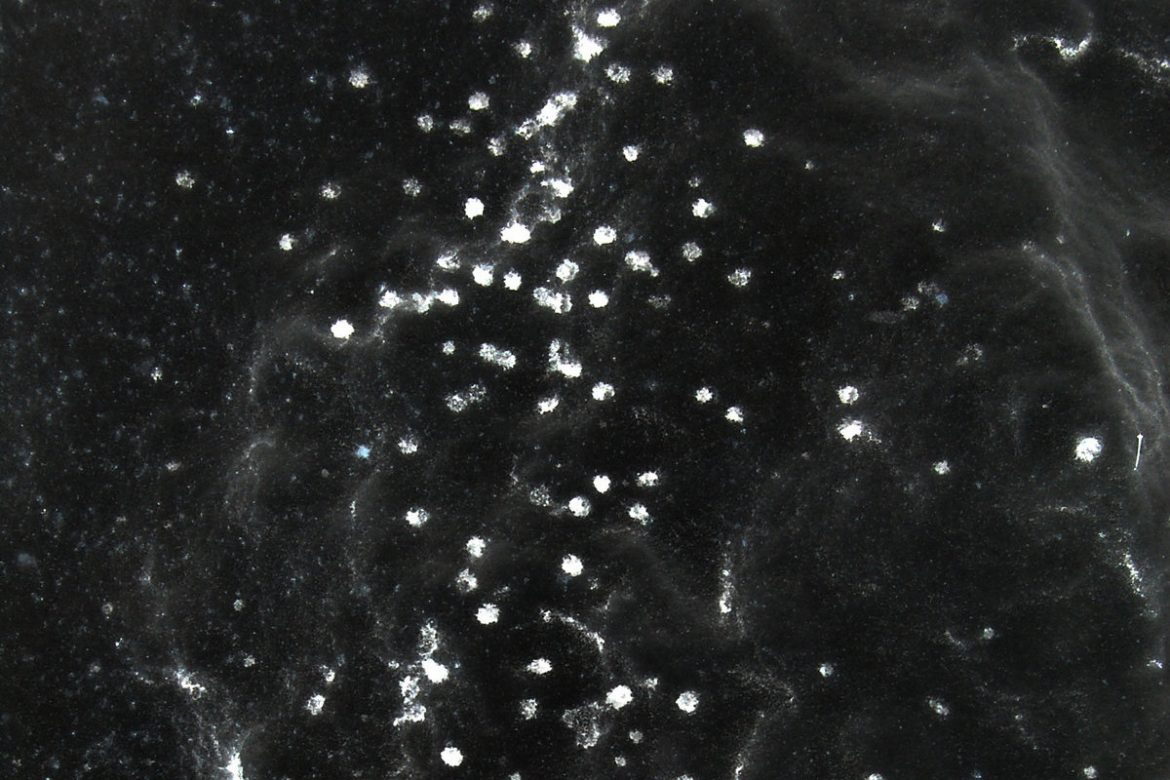 Klaas Hübner - Sog, black cloudy image with specks of white