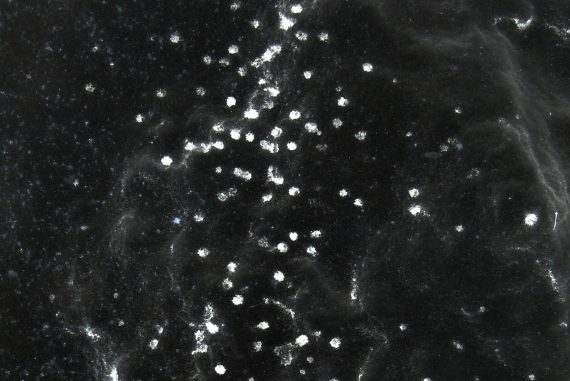 Klaas Hübner - Sog, black cloudy image with specks of white