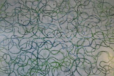 Bryn Harrison - Receiving the Approaching Memory, intricate all-over pattern of dark squiggles on a pale blue background