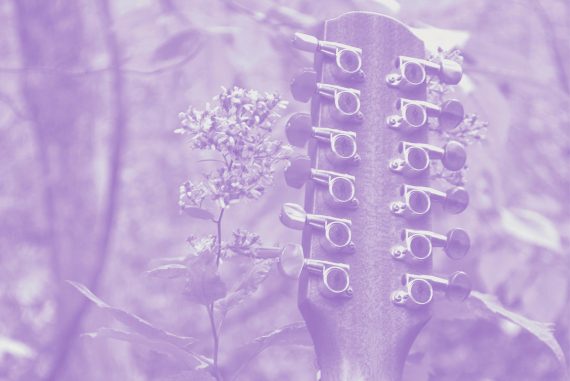 Sarah Louise - Solo Acoustic Vol 12, head of a twelve-string guitar next to a flower and some trees