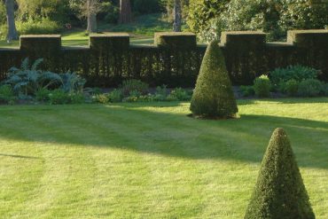 Yann Novak - Ornamentation, trees, lawn, and bushes in an ornamental garden
