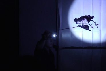 This One Night Only, shadow puppet of a bird