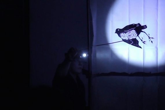 This One Night Only, shadow puppet of a bird