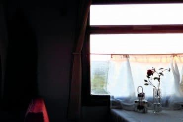 David Evans - Suddenly Woken By The Sound Of Stillness, seat and table at a train window, flowers and salt and pepper on the table