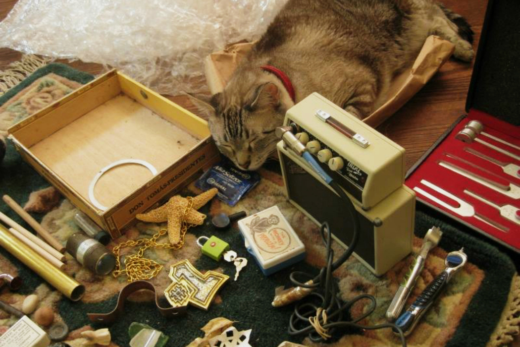 Vanessa Rossetto interview - various everyday objects used for making music lying on the floor next to sleepy grey cat