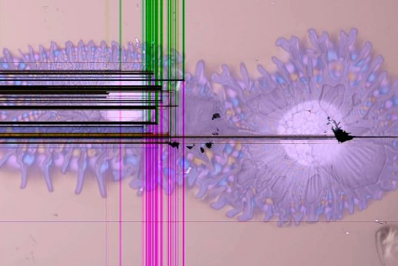 New work by Stephen Cornford featured in the exhibition Emotion and the Technobody, amoeba-like shapes on a pink background with piercing vertical and horizontal lines.