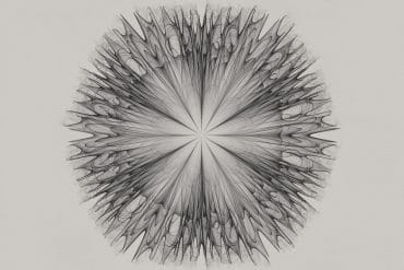 Simon Cummings - Studies, abstract generative line drawing resembling a spiky flower, against a grey background