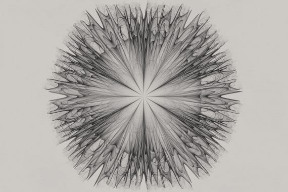 Simon Cummings - Studies, abstract generative line drawing resembling a spiky flower, against a grey background