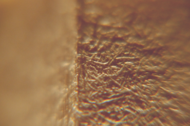 Miguel Isaza - Mayopama, closeup of unidentifiable light brown surfaces, one smooth and one rough.