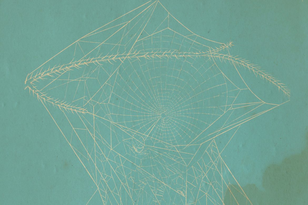 Rosalind Hall and Judith Hamann - Gossamers, faint spider's web-like design against a blue-green background.
