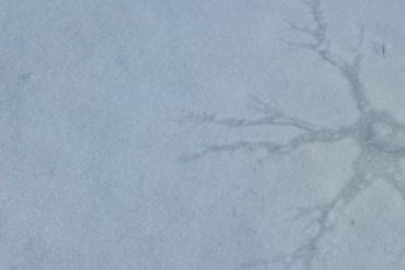 France Jobin - scènes, blue ice cracked in a star-shaped pattern