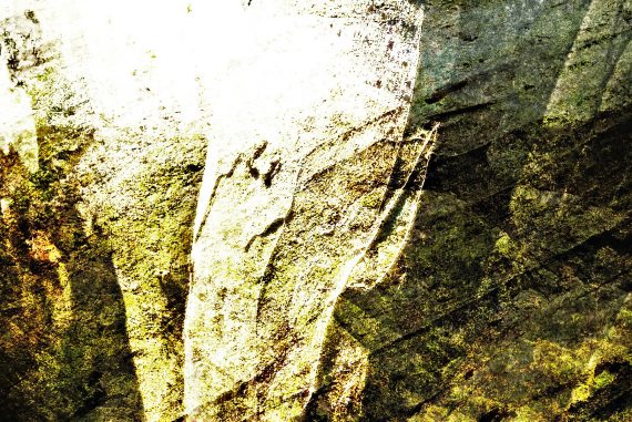 Philip Sulidae - Ramshead, abstract layered image of different natural textures, shades of green.