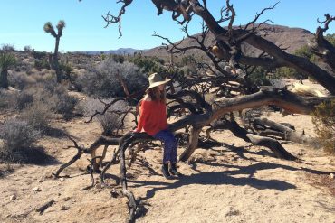 Félicia Atkinson - Coyotes, artist wearing a wide-brimmed hat sat on a tree branch in the desert.